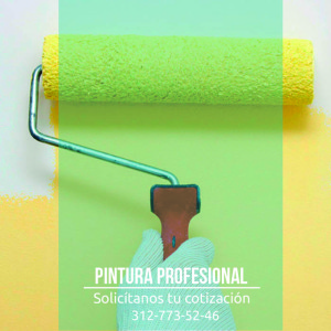 pintura-profesional